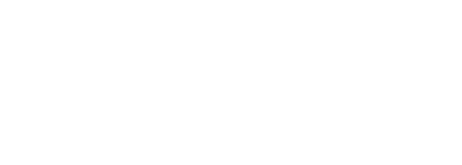 Bleedout Studio logo