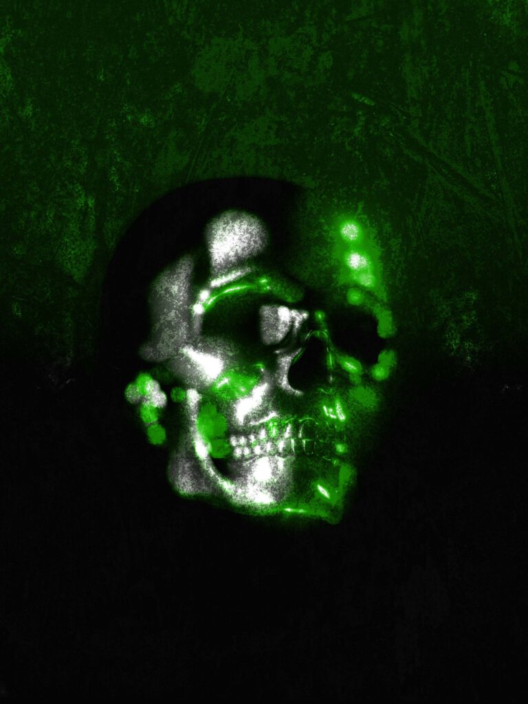 BleedOutStudio-Skully